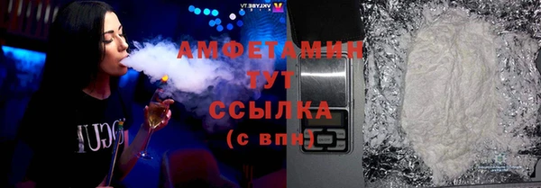 мет Алексин