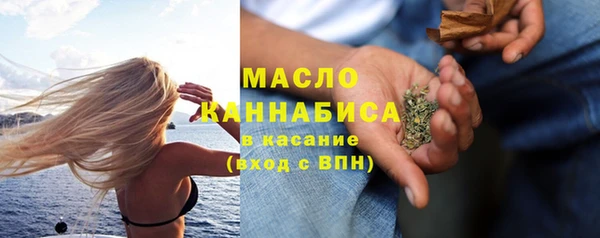 мет Алексин