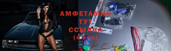мет Алексин