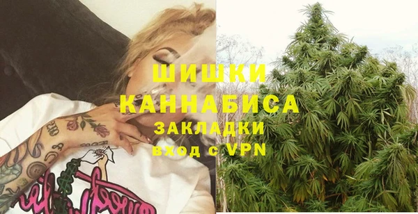 дмт Алзамай