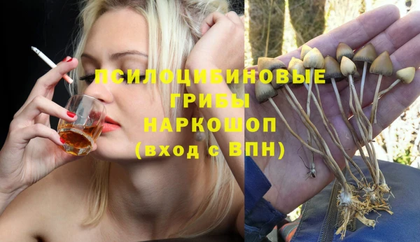 дмт Алзамай