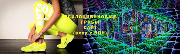 спиды Алексеевка