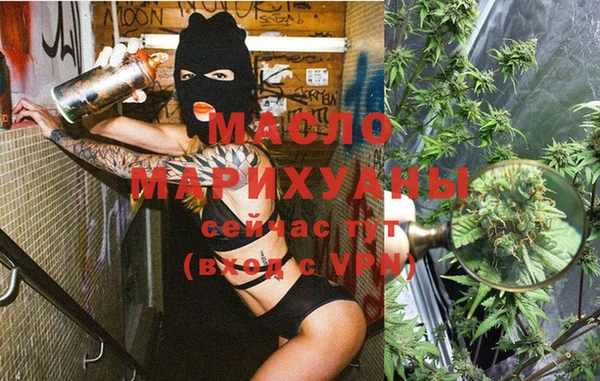 мет Алексин